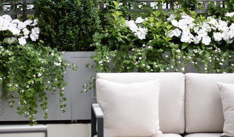 8 Trellis Ideas to Give You Garden Envy