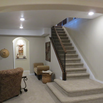 Brighton Basement Finish, Master Bath, Laundry