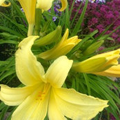 Deborah Peek's photo