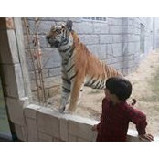 Lorice Qarmout's photo