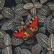 Aude Joannis's photo