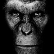 Alexandre Hamel's photo