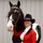 Judy Pugh