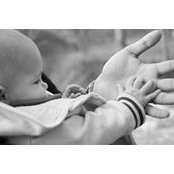 Dave Johnson's photo