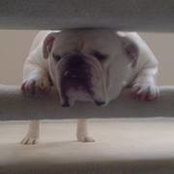 Beth McCallister's photo
