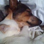 Susan Hearson's photo