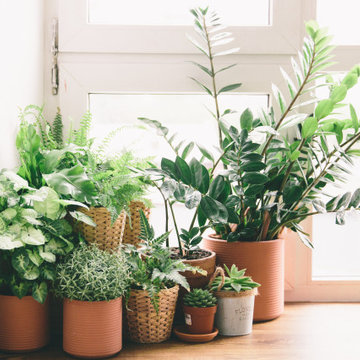 Landscaping Tips