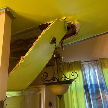 Ceiling Repair
