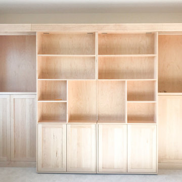 Custom Library Bookcase Murphy bed