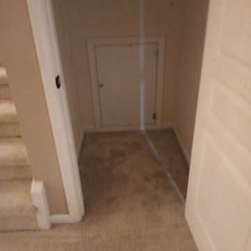 Residential Carpet Installation