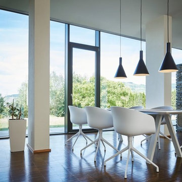 Phelia 12" 1-Light Pendant