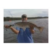 Bill Ludwig's photo