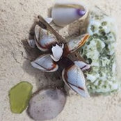 Marie Burck's photo