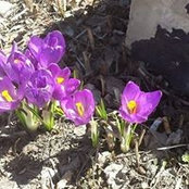 Jo Beer's photo