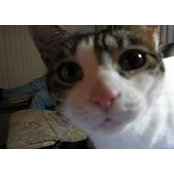 Julie Gallagher's photo