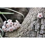 Mabel Miguel's photo