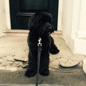 Magda Gorniak's photo