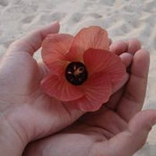 Foto von Iman Alaa