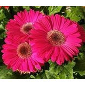 Debbie DeWald's photo