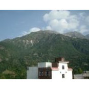 Parmod Sharma's photo