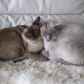 Michele Rutherford's photo