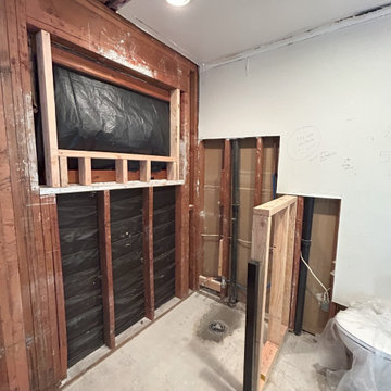 Master bathroom remodel in Tierrasanta