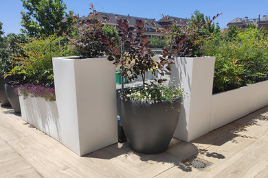 Terraza en Boadilla del Monte