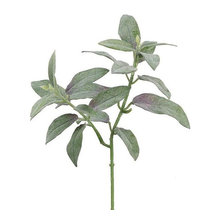 Floral/Plant Decors/Vases