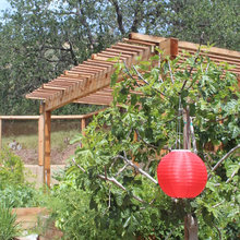 Pergola