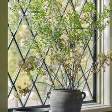 flower plant combos ideas