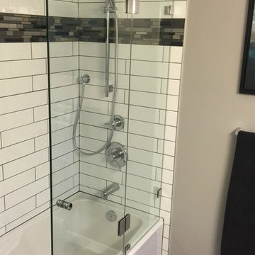Tub / Shower glass panels & shower shields