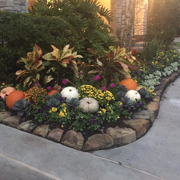 Driveways & Entry Landscape