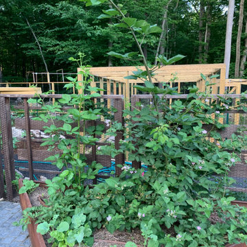 Vegetable Garden