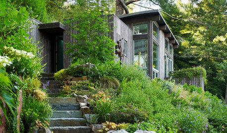 7 astuces de pro pour éviter les inondations dans le jardin