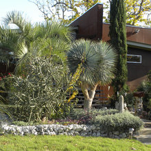 cool house