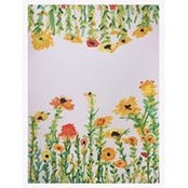 Joanne Park's photo
