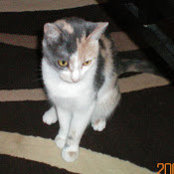 Cat Hyatt's photo