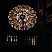 Foto von Patricia Keith
