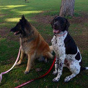 Grace Southwell's photo