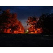 Radu Eugen's photo