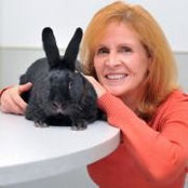 Caryn Ginsberg's photo