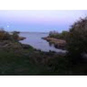 janet hamilton's photo