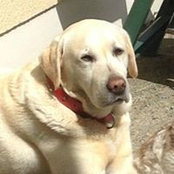 Siobhan Shanahan's photo