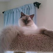 Kim Allen's photo