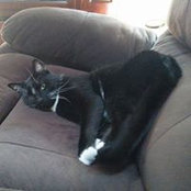Patricia Everdell's photo