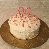 Tracy Huffman-Alfieri's photo