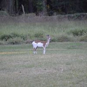 Francesca Galbani's photo