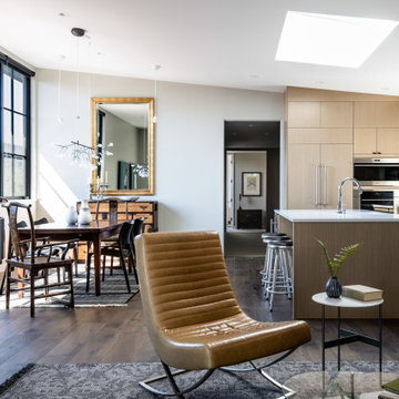 Harrison South Penthouse