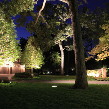 Design/ Build- A Home to Showcase