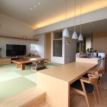living areas - kitch/lounge/dining